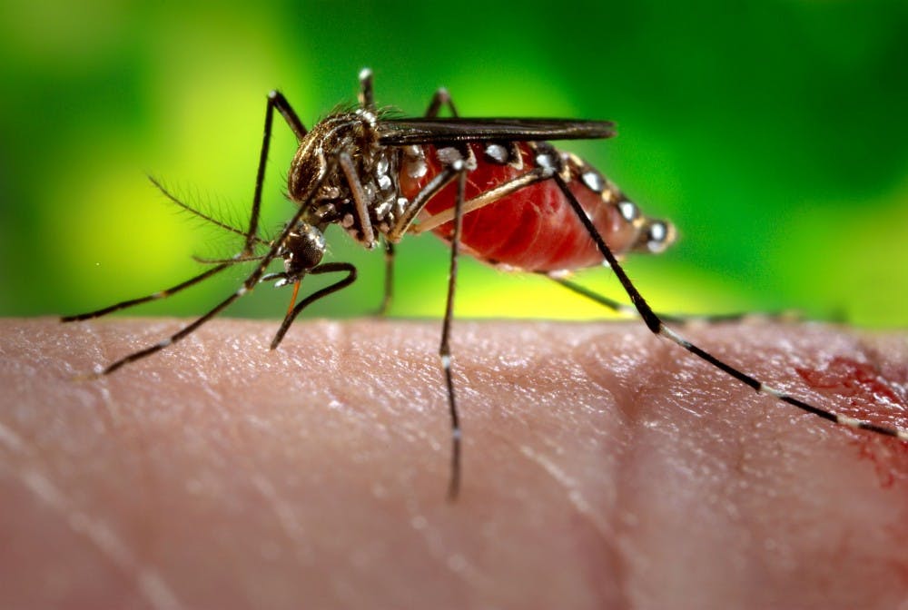PUBLIC DOMAIN
The Zika virus, transmitted by mosquitoes, can help treat brain cancer.