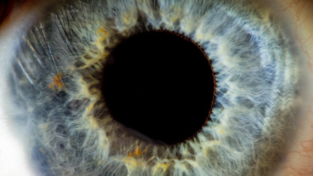 GRÉGOIRE LANNOY/CC BY-NC 2.0
According to Grover, there is a lack of concern in the perception of vision care.