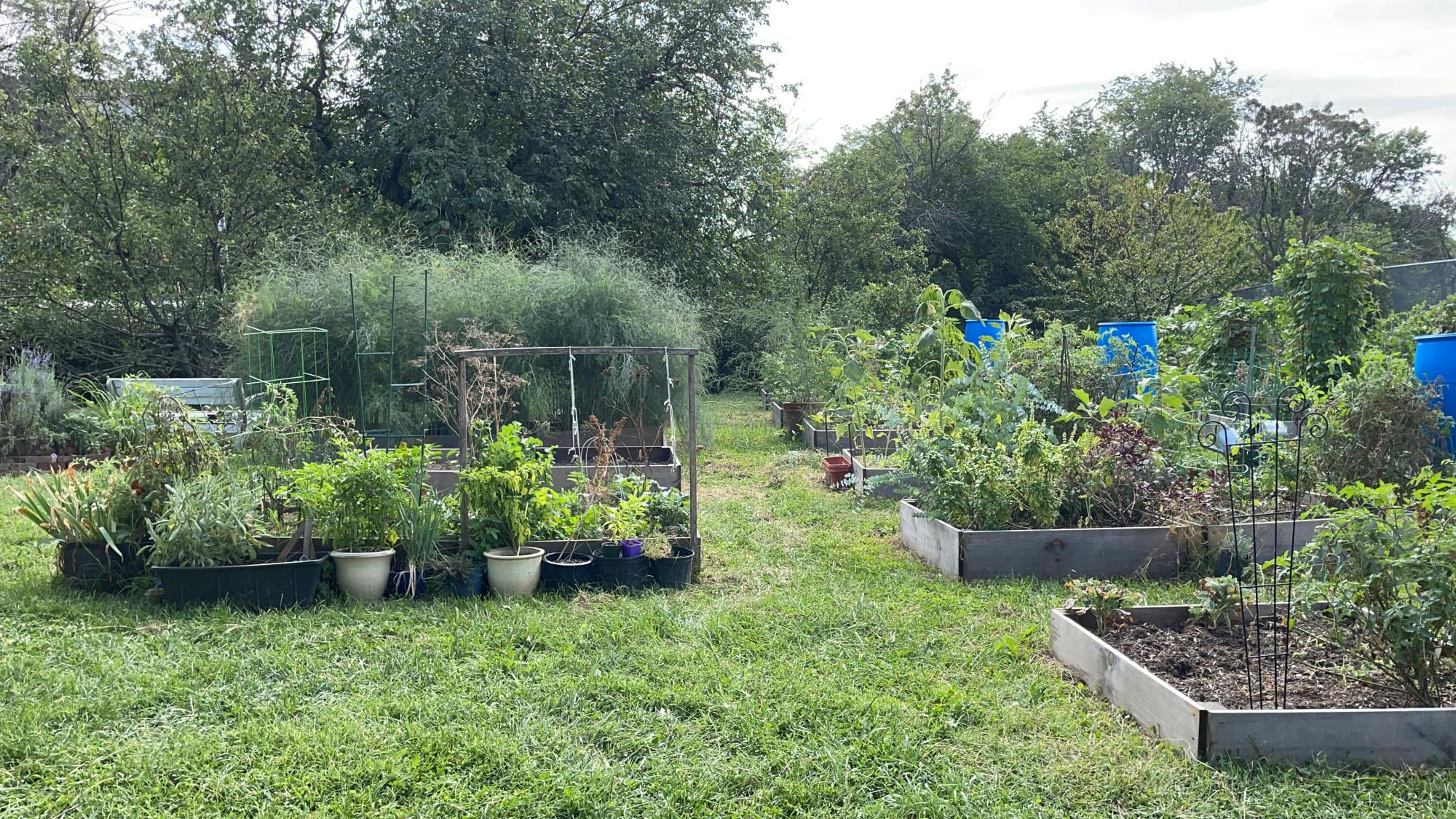 COURTESY OF ARANTZA GARCIA
The Blue Jay’s Perch is the perfect weekly excursion for gardeners and plant lovers.&nbsp;