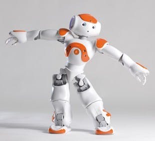 www.robotics.usc.edu
The newest robots, like the NAO, have several human senses and can talk.