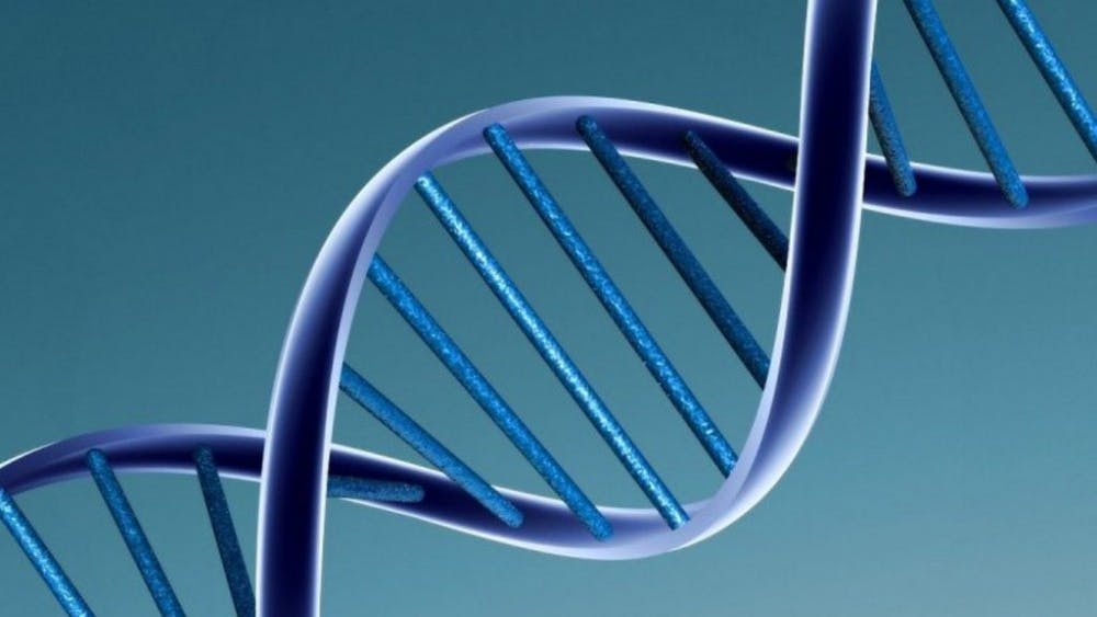  CAROLINE DAVIS 2010/cc-by-2.0
One researcher has edited the genes in a human embryo using CRISPR/Cas9 technology.