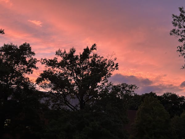 Pink sky