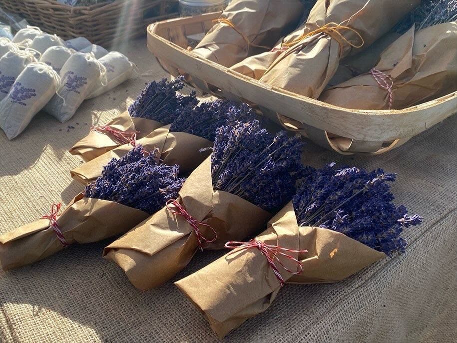 COURTESY OF YUYU HUANG
Huang provides a list of local destinations to dine, shop and relax in this fall.