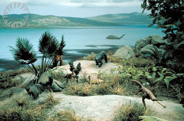 SI Neg. 77-9344. Date: 1977.

Cretaceous Diorama, Dinosaur Hall, National Museum of Natural History 

Credit: Alfred F. Harrell (Smithsonian Institution)