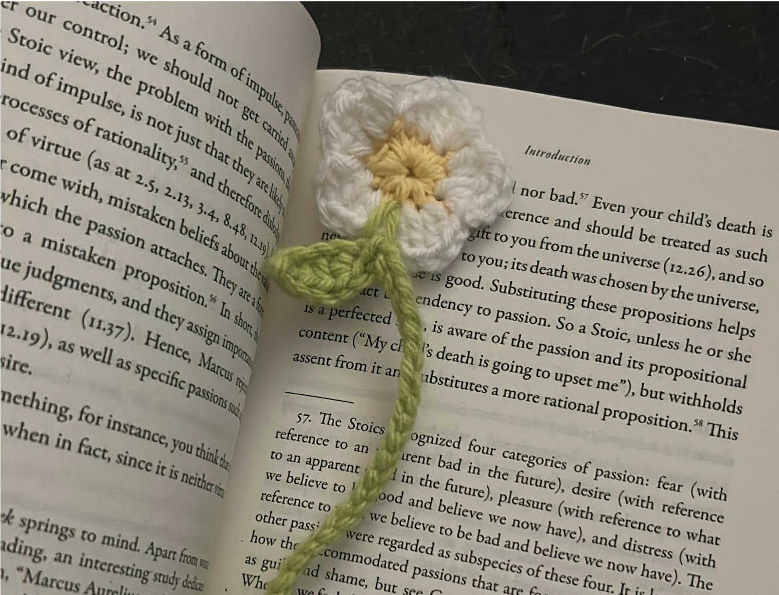 COURTESY OF MYRA SAEED
Saeed explains her unofficial process for getting into classic literature.&nbsp;