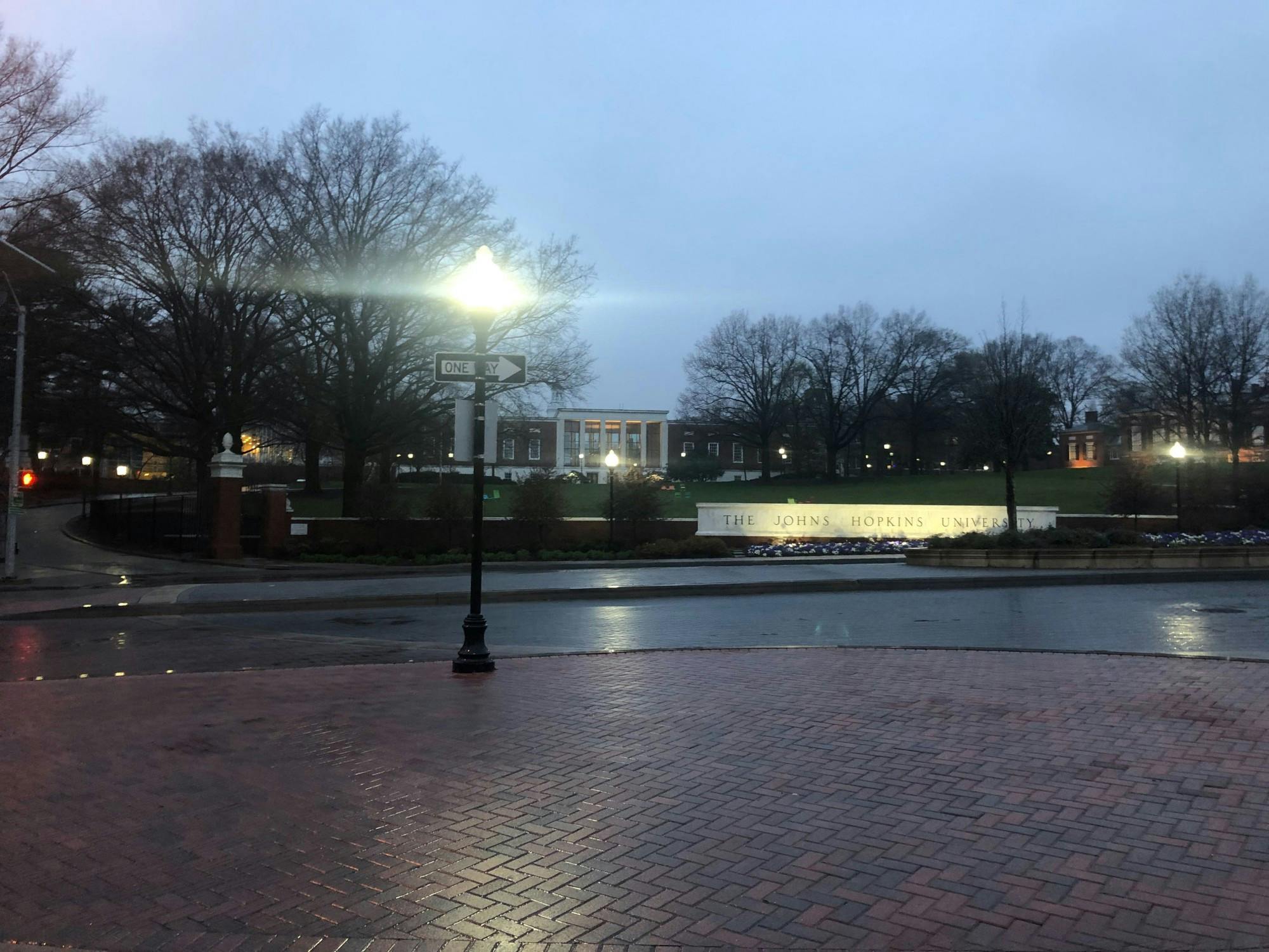 EDA INCEKARA / PHOTOGRAPHY EDITOR
The ongoing COVID-19 pandemic delayed class council elections for weeks.