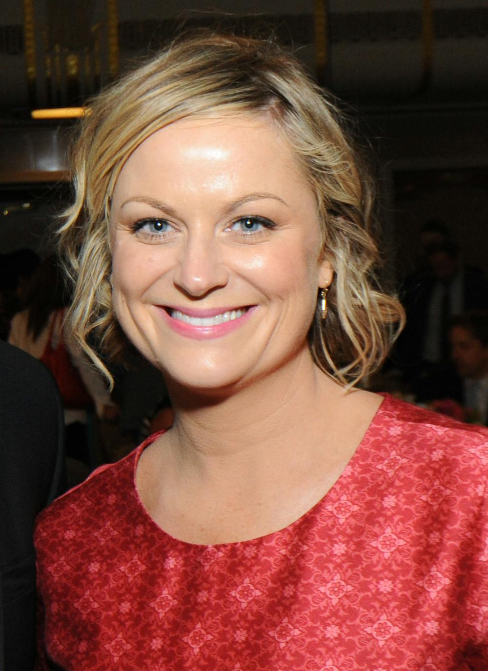 PEABODY AWARDS/CC-BY-2.0
Amy Poehler directed and starred in the movie Moxie.