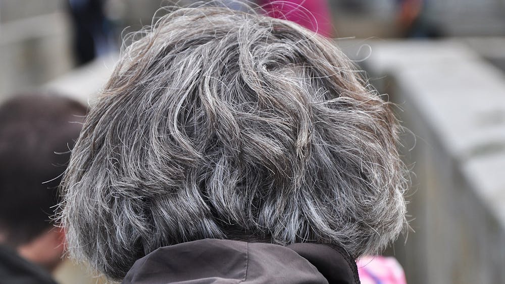 PHILIPPE ALES / CC BY-SA 4.0
One article published last week connects graying hair to decreased movement of regenerative stem cells which rejuvenate hair follicles. 
