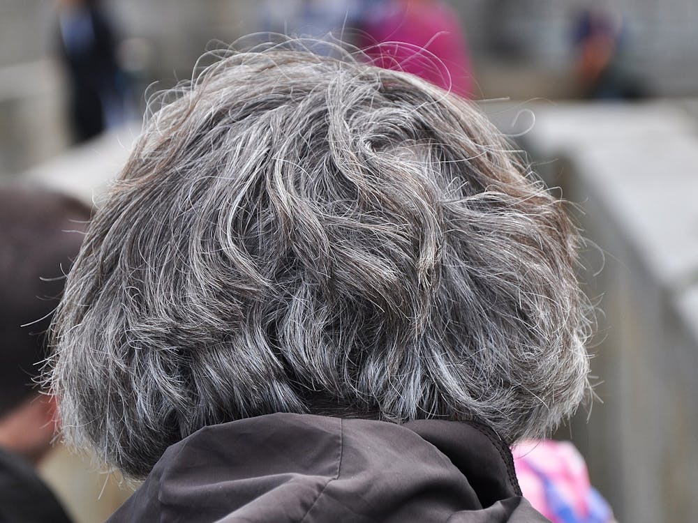 PHILIPPE ALES / CC BY-SA 4.0
One article published last week connects graying hair to decreased movement of regenerative stem cells which rejuvenate hair follicles.&nbsp;