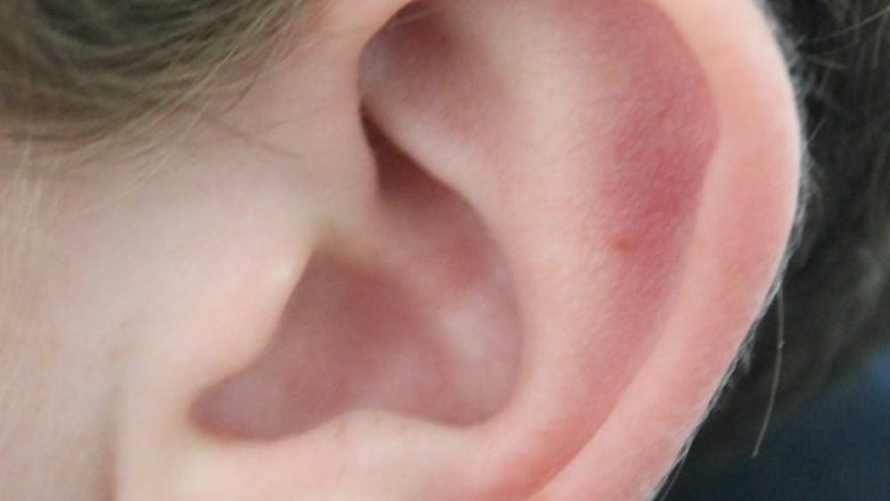 PUBLIC DOMAIN
Researchers recently developed a drug that can protect the cochlear cell line.