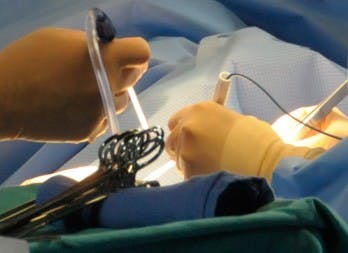 bio.sunyorange.EDU
The organ shortage is the impetus for the field of artifical tissue culturing.