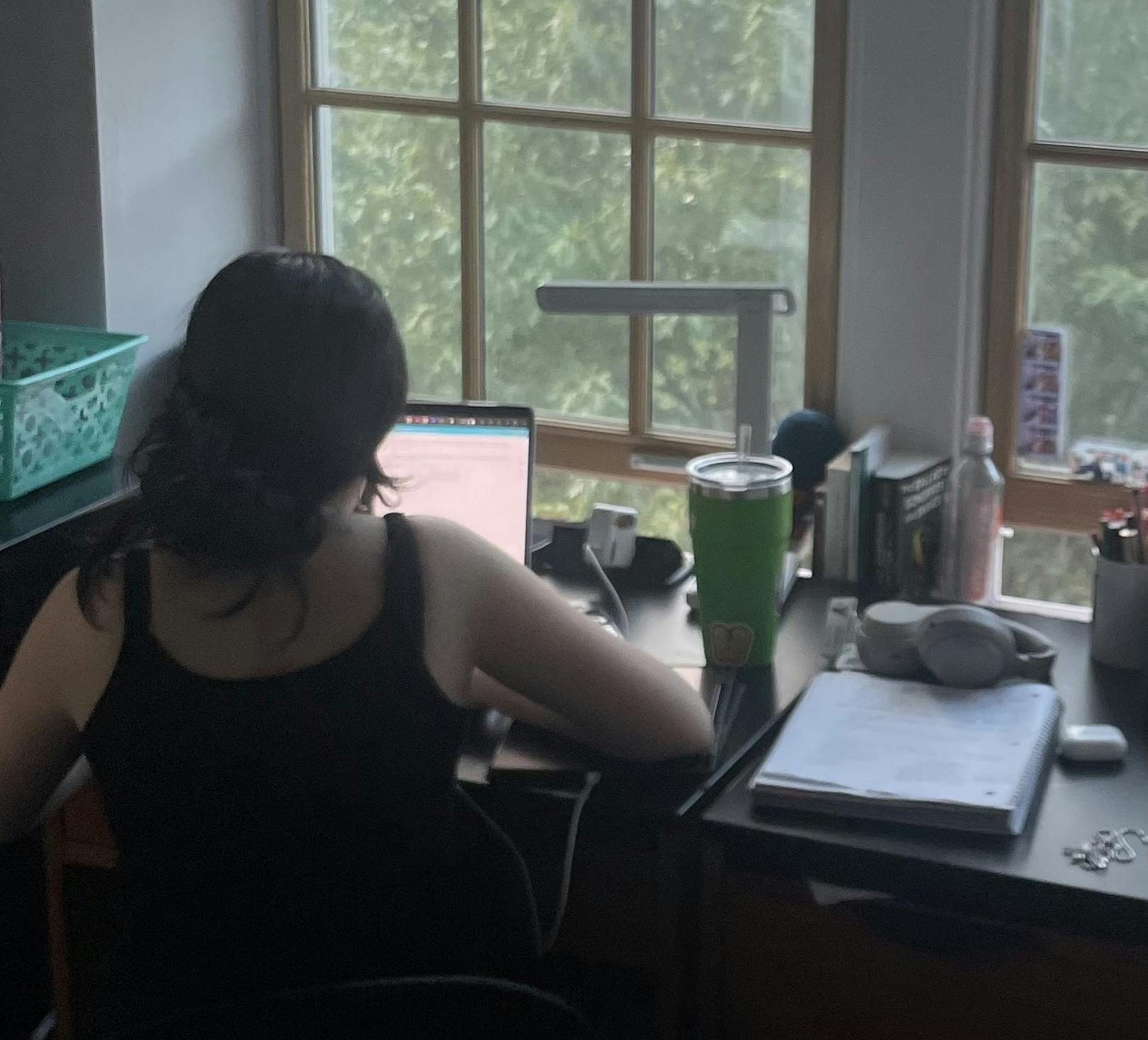 COURTESY OF JOHNALYS FERRER
Ferrer depicts an evening with the monster of academic validation.