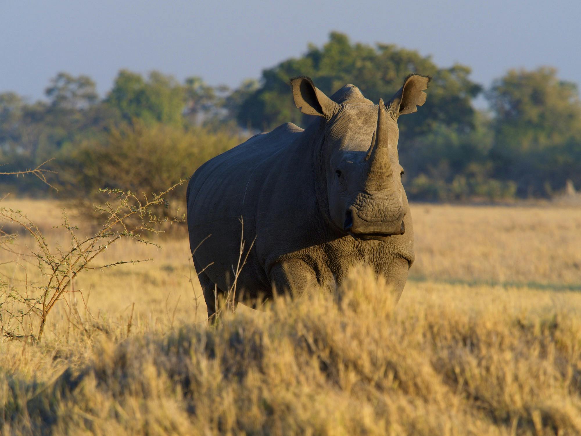 COURTESY OF ADDY PERLMAN