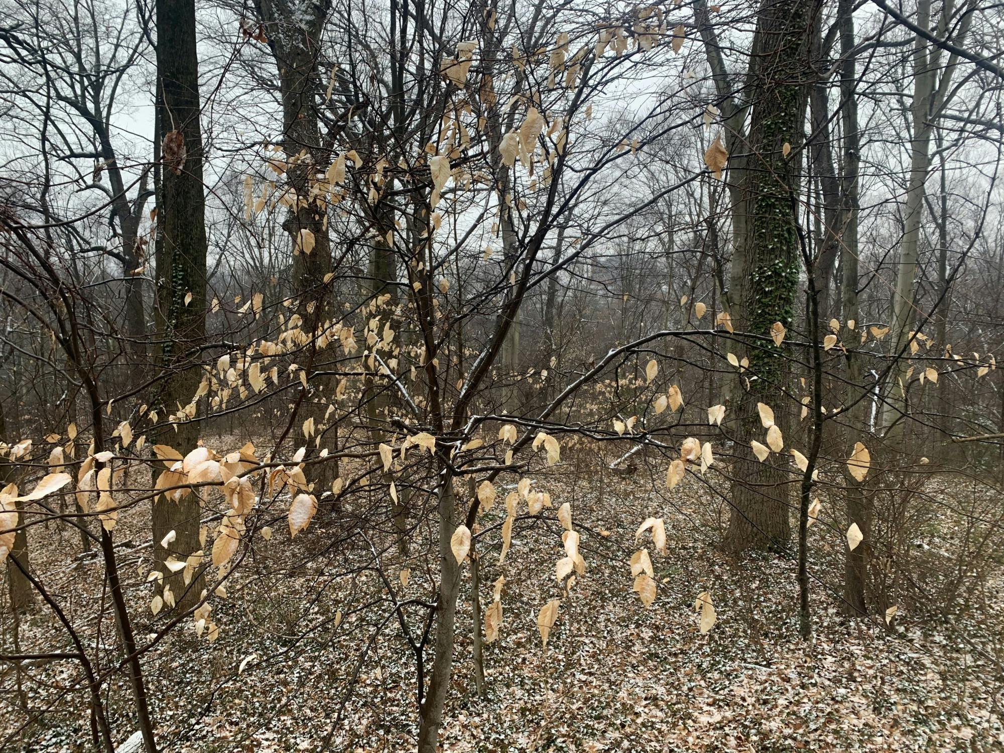 COURTESY OF KATY WILNER
This weekend, spend sometime outdoors while you socially distance with friends.