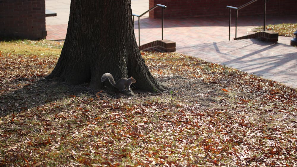 FILE PHOTO
Tan reminisces on her adventures around the Homewood campus last year.