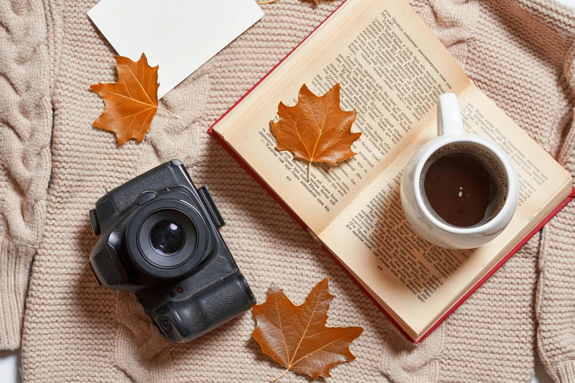 MARCO VERCH PROFESSIONAL PHOTOGRAPHER / CC BY 2.0
Daum provides some ideas for fun fall activities to enjoy at home.