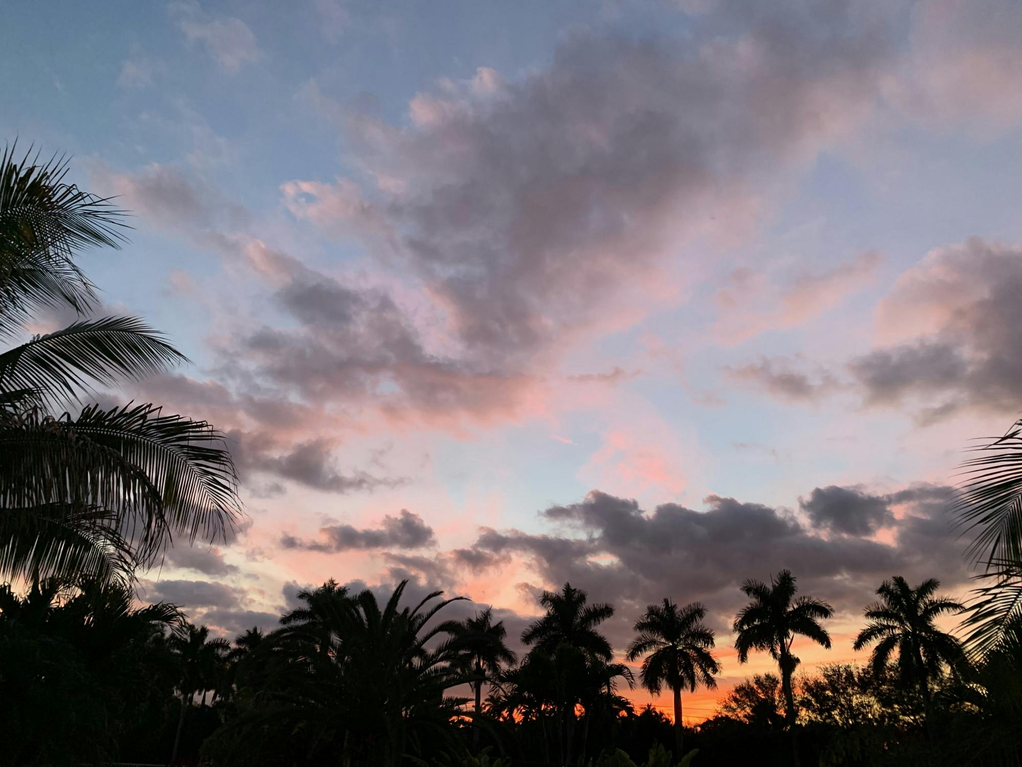 COURTESY OF ABIGAIL TUSCHMAN&nbsp;
Tuschman reaffirms her decision to stay at home this semester.&nbsp;