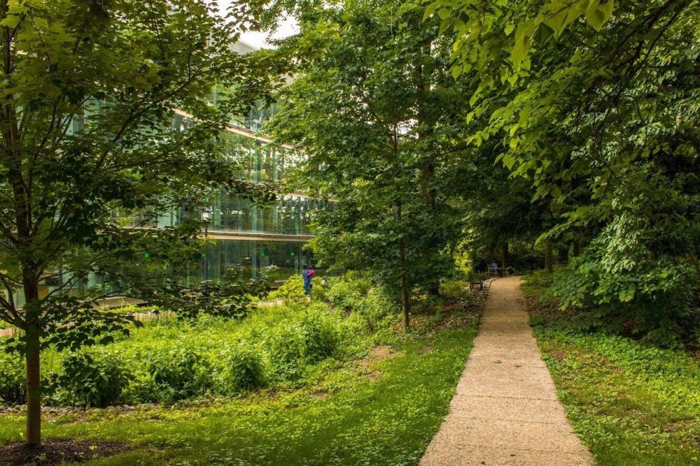 COURTESY OF EDA INCEKARA
The GIS includes information about every tree on Homewood Campus.