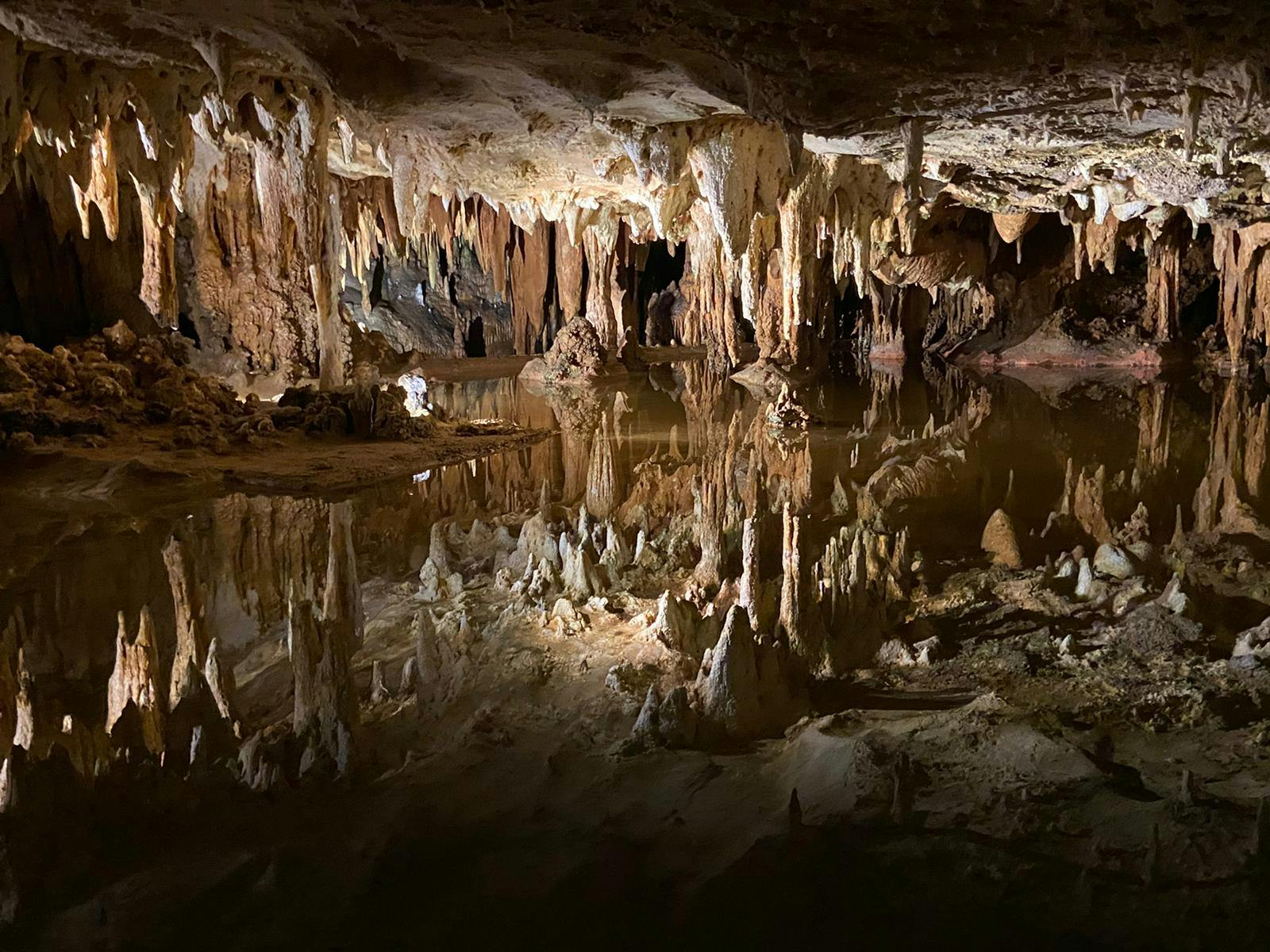 COURTESY OF BINYAMIN NOVETSKY
Over fall break, Novetsky visited the Luray Caverns in Virginia, which reminded him of one of his favorite Dickinson poems.