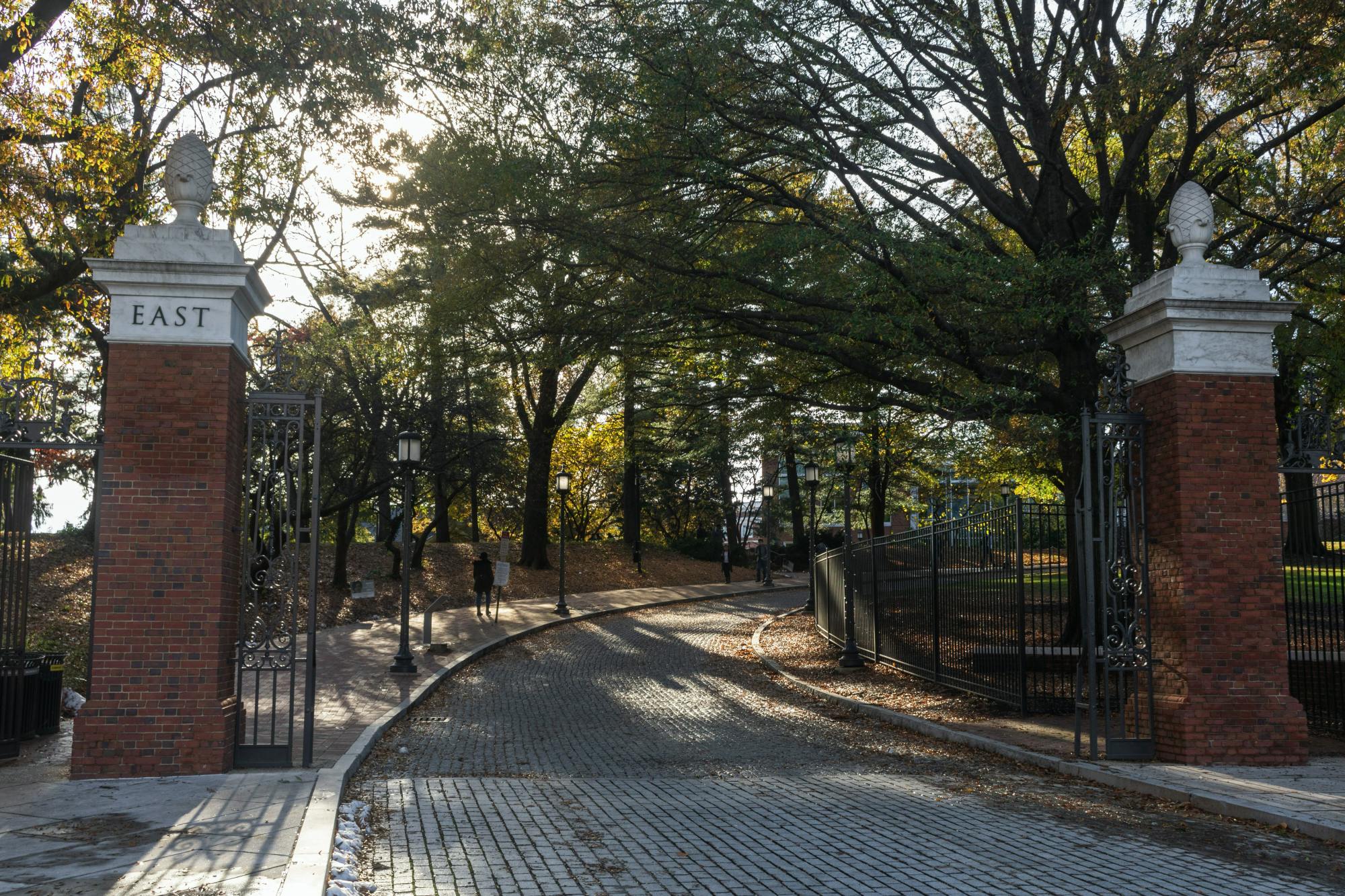 FILE PHOTO
The CSE announced the 2020-21 SGA executive board on Friday.