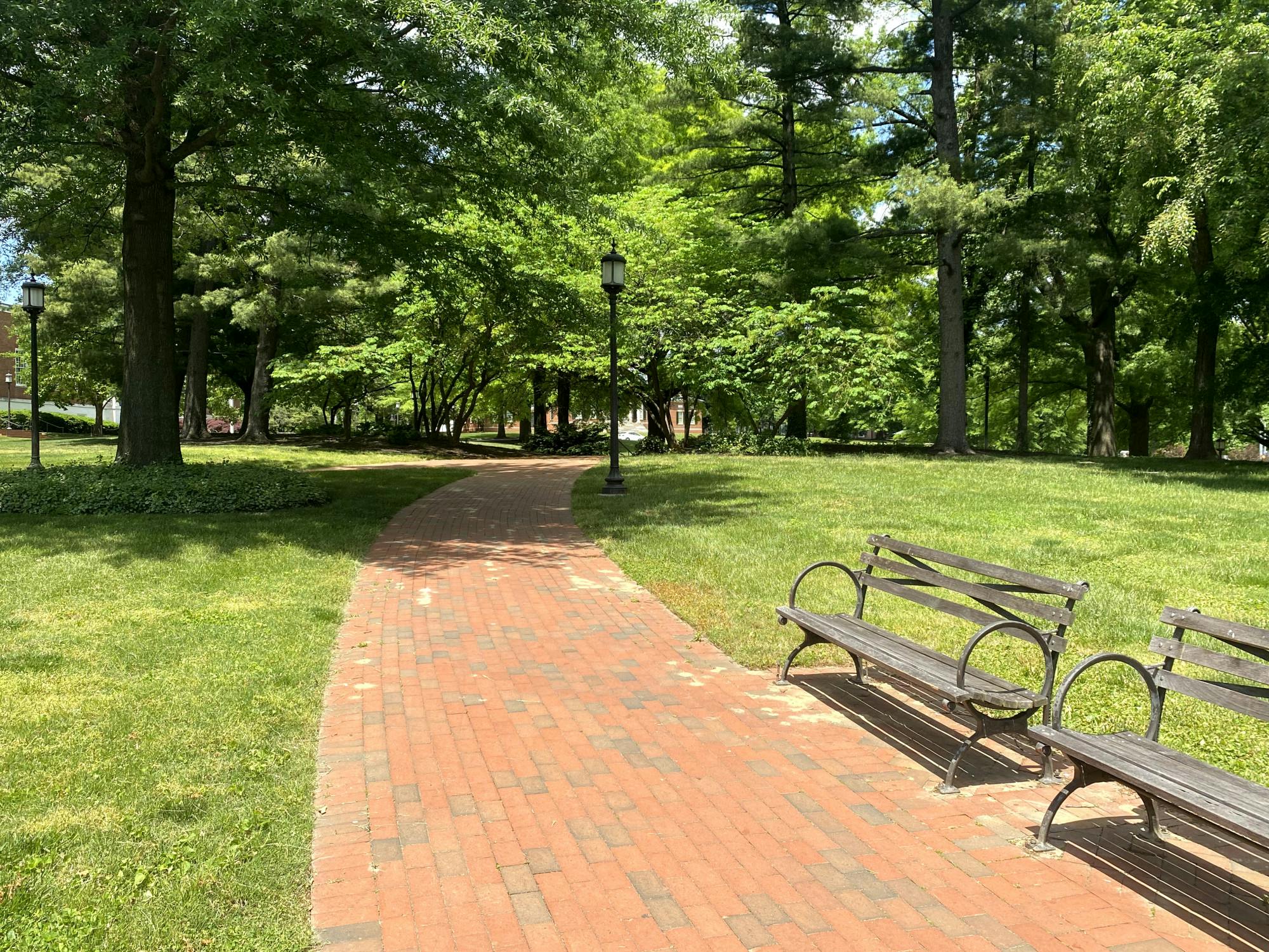 COURTESY OF LAURA WADSTEN
Students discuss the ups and downs of social life as they return to campus for the fall semester.