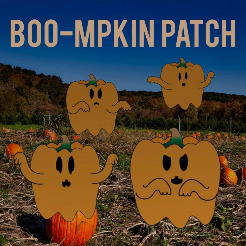 B6_Boompkin-patch-1024x1024