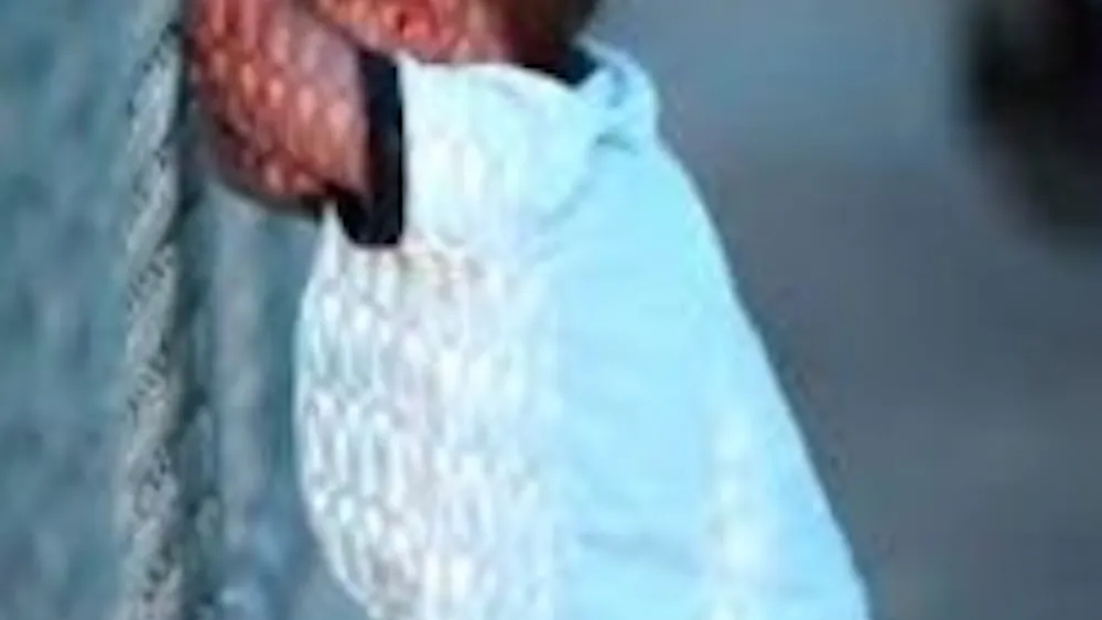 Keijj44/Coo./Public Domain
Many Americans unfortunately can’t afford to go to live baseball games.