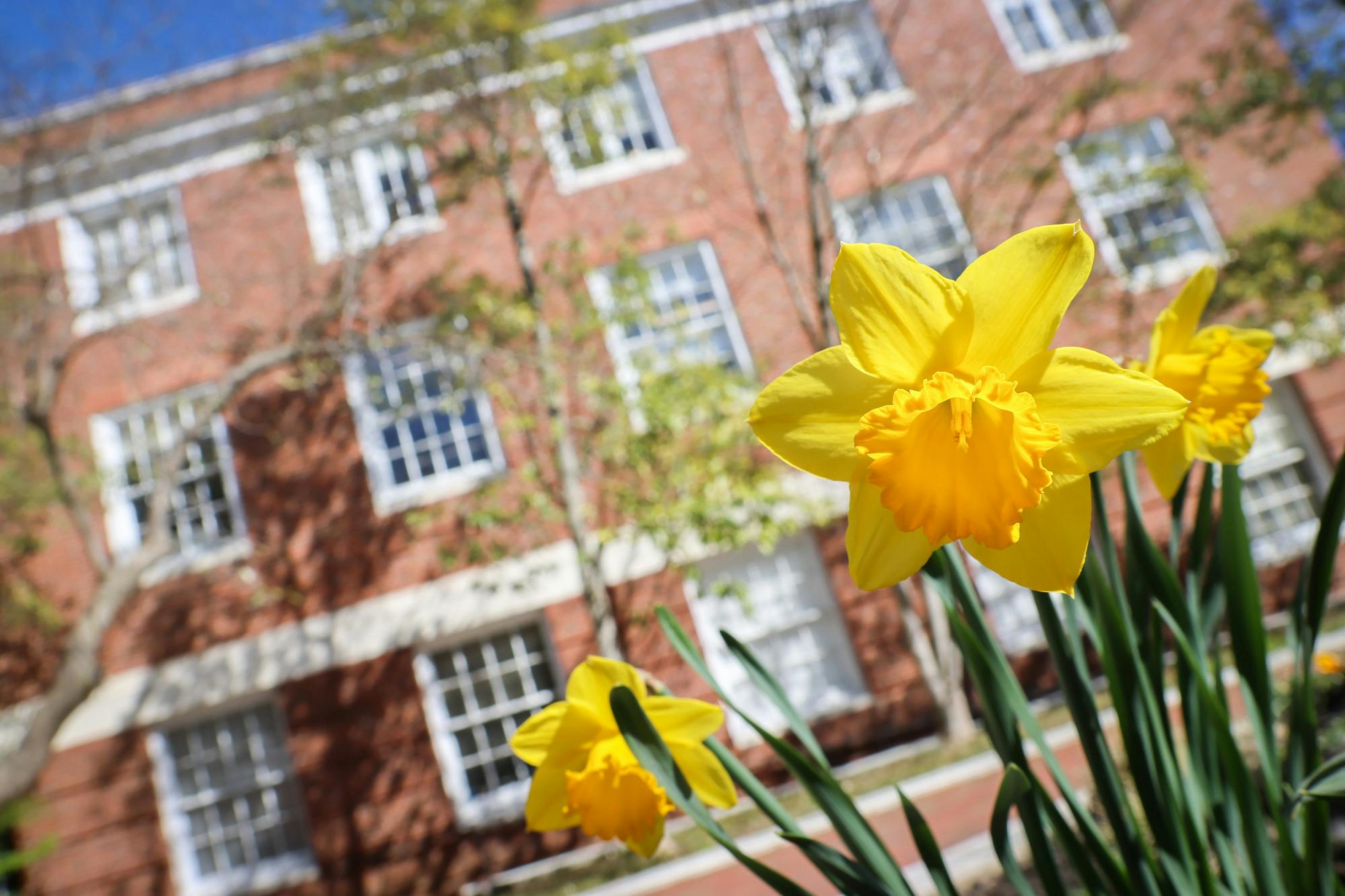 STEVEN SIMPSON / PHOTO EDITOR
SGA confirmed senators to its committees and discussed a constitutional amendment.