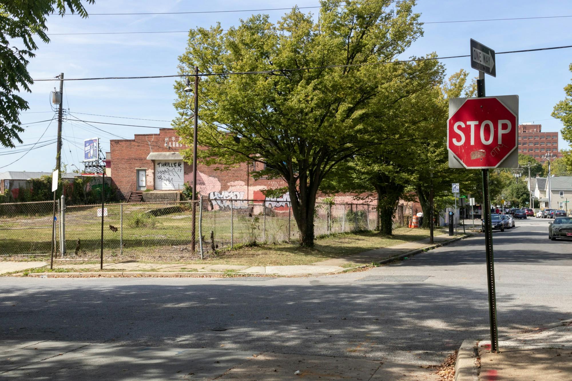 EDA INCEKARA/PHOTOGRAPHY EDITOR