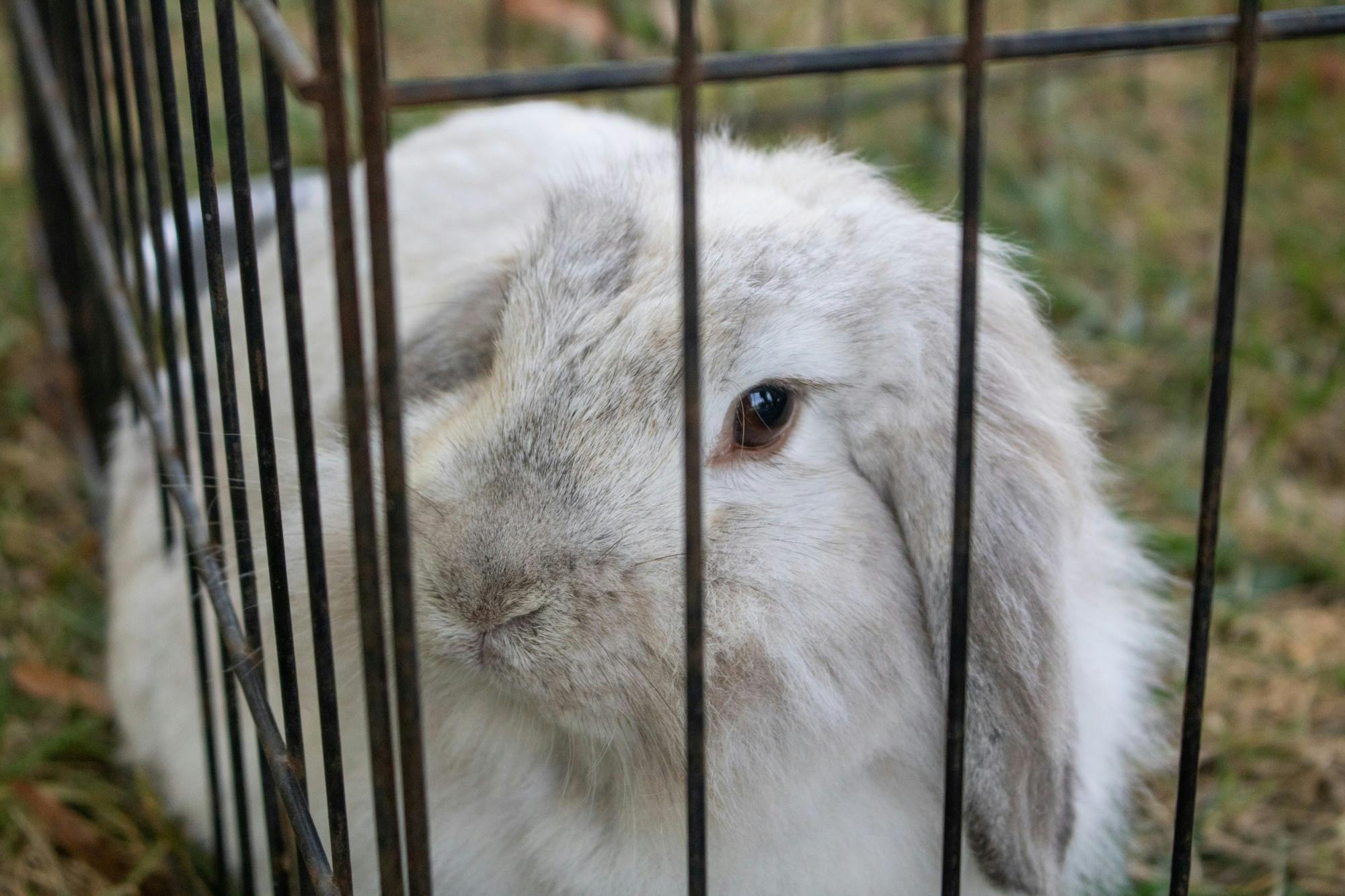 EDA INCEKARA/PHOTOGRAPHY EDITOR