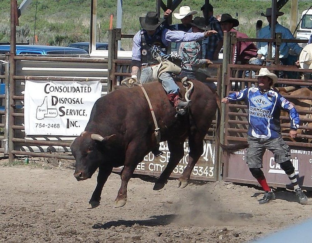 PUBLIC DOMAIN
Rodeos are an exciting blend of masculinity and muscle.