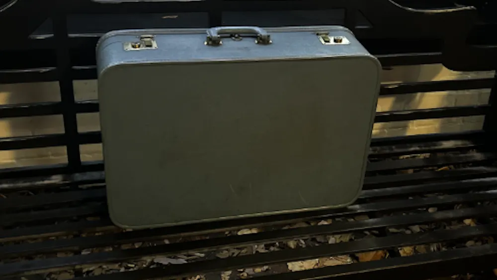 Through the (suit)case study of one chance encounter, Leiberman reflects on "magic" in nature.