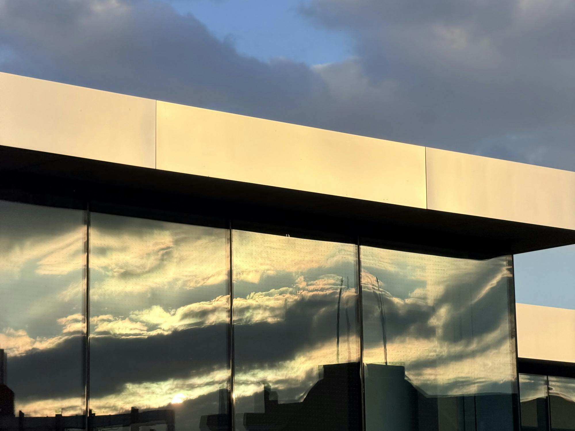 COURTESY OF SOLAH HAN&nbsp;
Zhang argues that elite universities must return to their original goal of serving the public good.&nbsp;