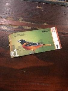  COURTESY OF AMY HAN
Over 45,000 dollars worth of BNotes are currently in circulation in Baltimore city.