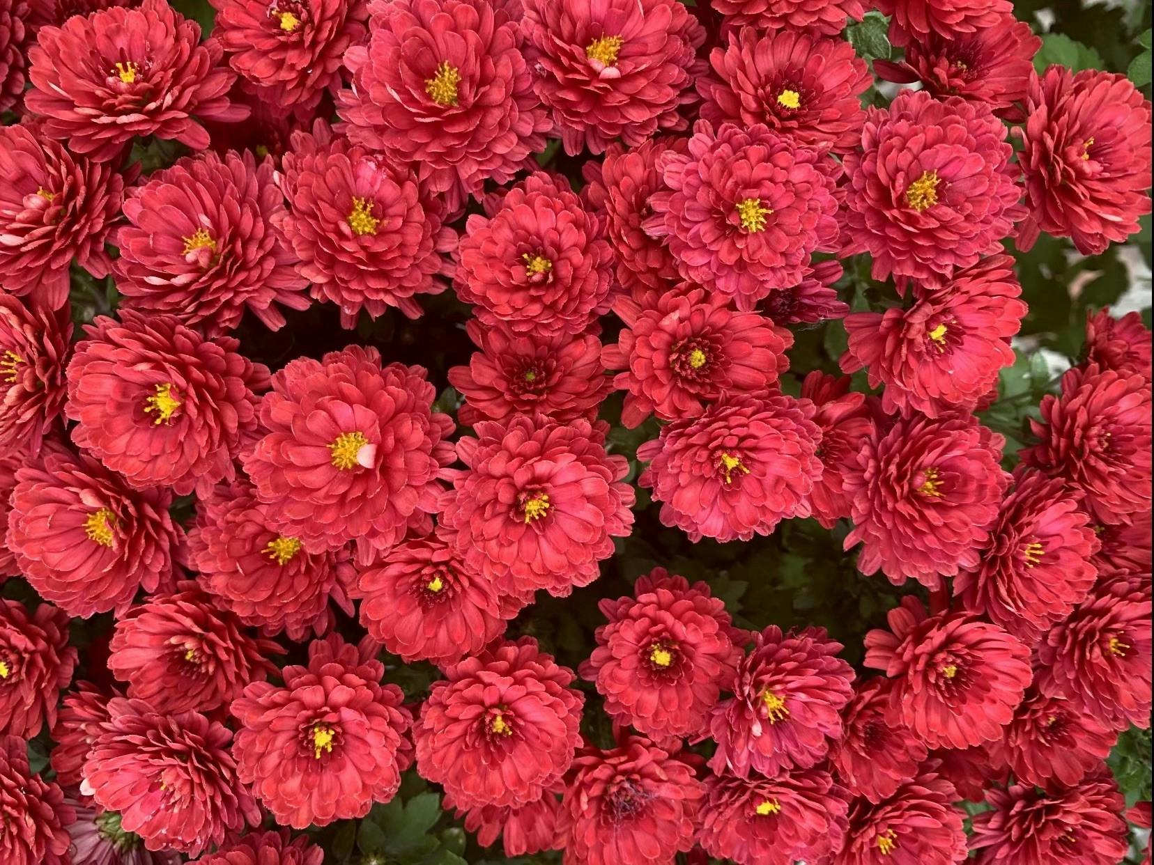 COURTESY OF RYAN AGHAMOHAMMADI
Aghamohammadi reflects on the difficulty of talking about himself.