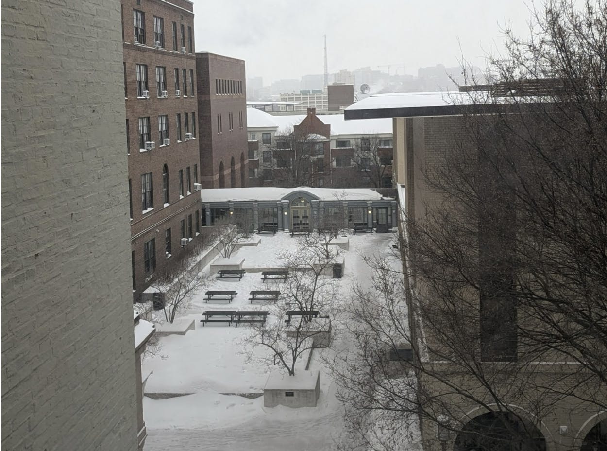 COURTESY OF AMELIA TAYLOR
Taylor highlights the subtle beauty of snow days.