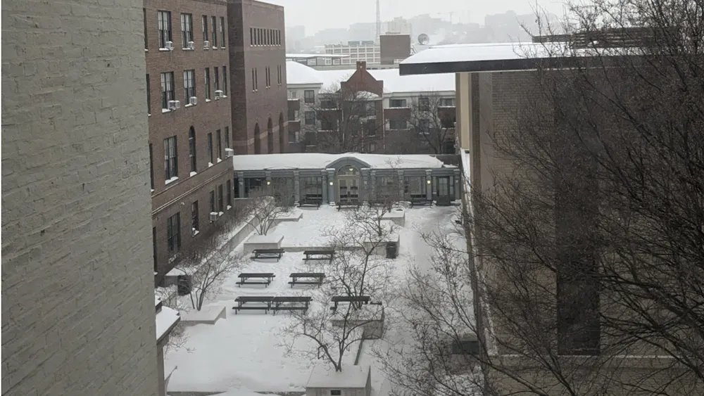 COURTESY OF AMELIA TAYLOR
Taylor highlights the subtle beauty of snow days.