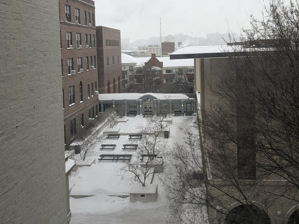 COURTESY OF AMELIA TAYLOR
Taylor highlights the subtle beauty of snow days.