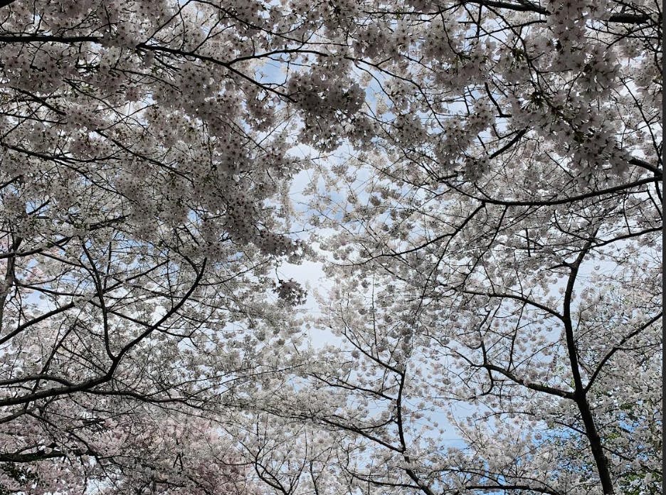 COURTESY OF KATHRYN JUNG
Jung reflects on ads, relationships and other things that change with the seasons.