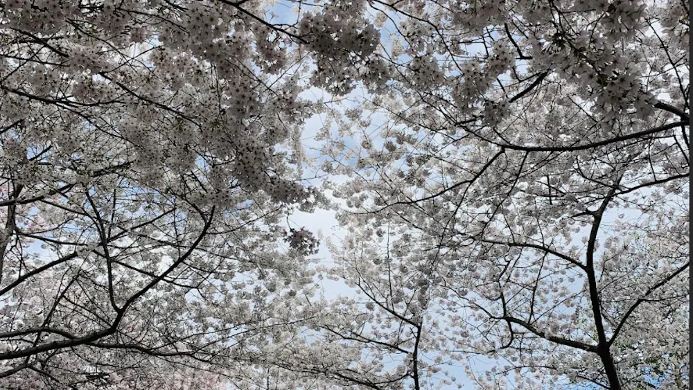 COURTESY OF KATHRYN JUNG
Jung reflects on ads, relationships and other things that change with the seasons.