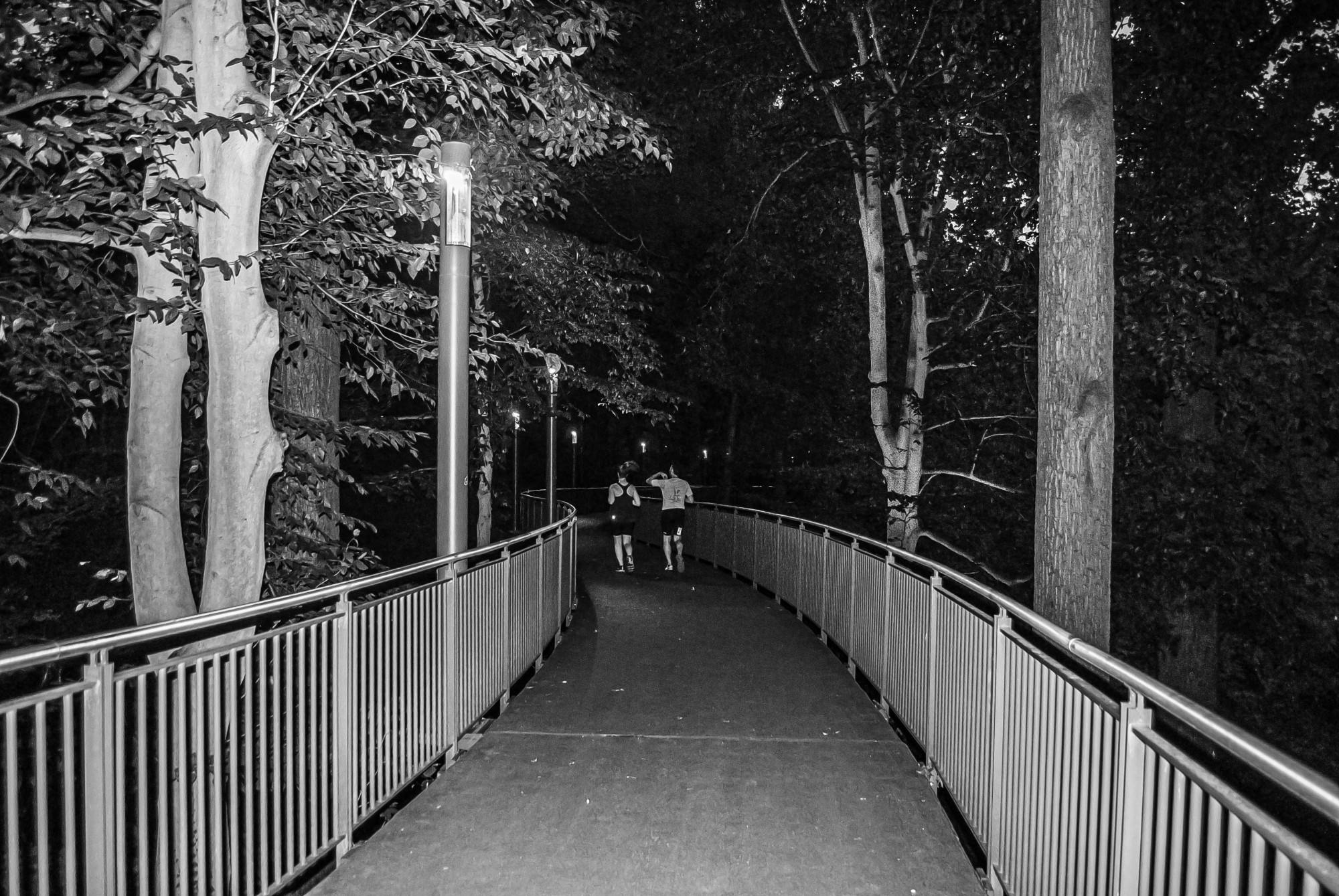 By Rex Xiao
Staff Photographer&nbsp;