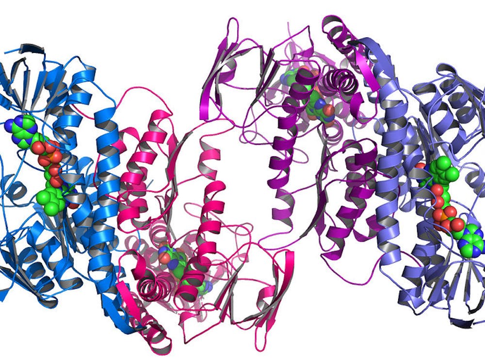 ARGONNE NATIONAL LABORATORY / CC BY-NC-SA 2.0
Many proteins have complex, convoluted folding patterns.&nbsp;