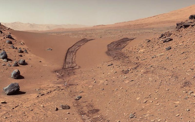 The experimentation of growing plants on Mars The Johns Hopkins News