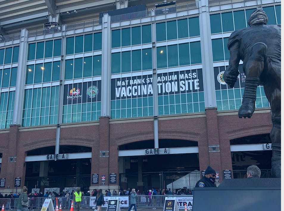 COURTESY OF VICTORIA DE CASTRO
Volunteer shifts are available four times a week.&nbsp;