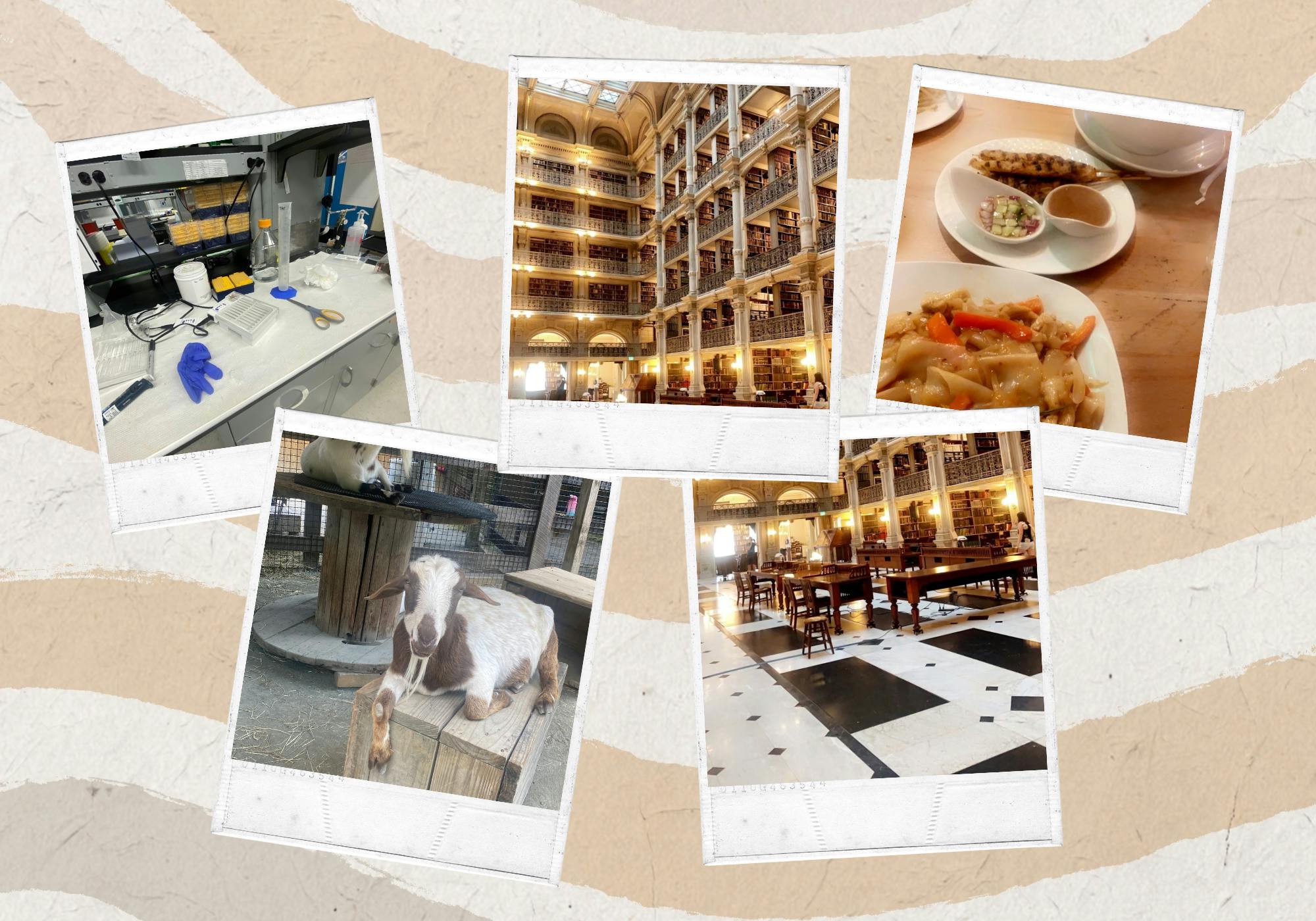 COURTESY OF JULIA ZACHARSKI
After spending her first summer away from home, Zacharski reflects on the memories of her time exploring Baltimore.