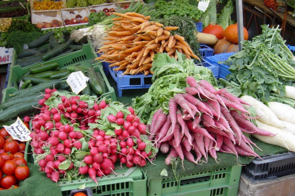 COURTESY OF HTTP://CAPL.WASHJEFF.EDU/
Public media has marketed countless dietary plans that have often proven to be ineffective for triers.