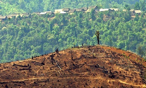 epa00182685 A small village where rice and opium farmers live is seen behind a large hill which has been cleared of timber by slash and burn methods ready for agriculture, in north-eastern Myanmar (Burma), close to the Chinese border, Monday 26 April 2004. Unchecked logging fuelled by the huge growth in the Chinese economy has taken its toll on the area. Deforestation is acute in Myanmar as a consequence of timber exploitation and poor agricultural methods and it is one of the least environmentally protected countries in South East Asia. Myanmar supplies 60 per cent of the world's teak wood consumption, and derives nearly 10 percent of it's foreign income from timber exports.  EPA/BARBARA WALTON