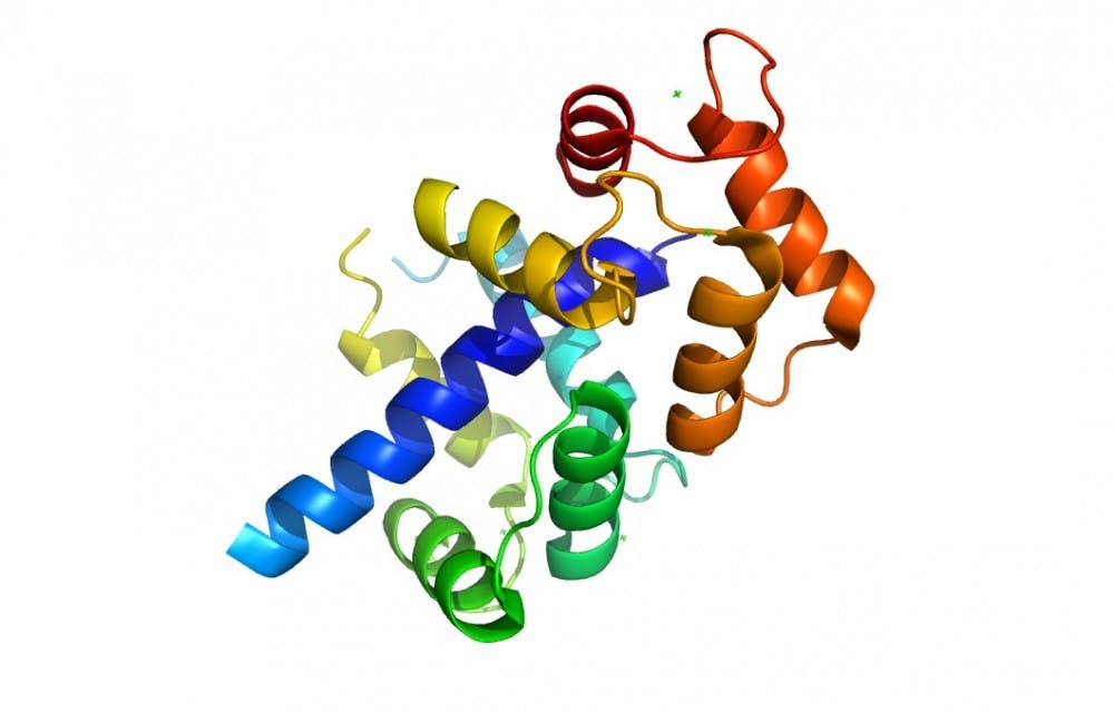 COURTESY OF MICHAEL YAMAKAWA
Proteins have evolved to fold properly without relying on a fast folding rate and a shortened structure.