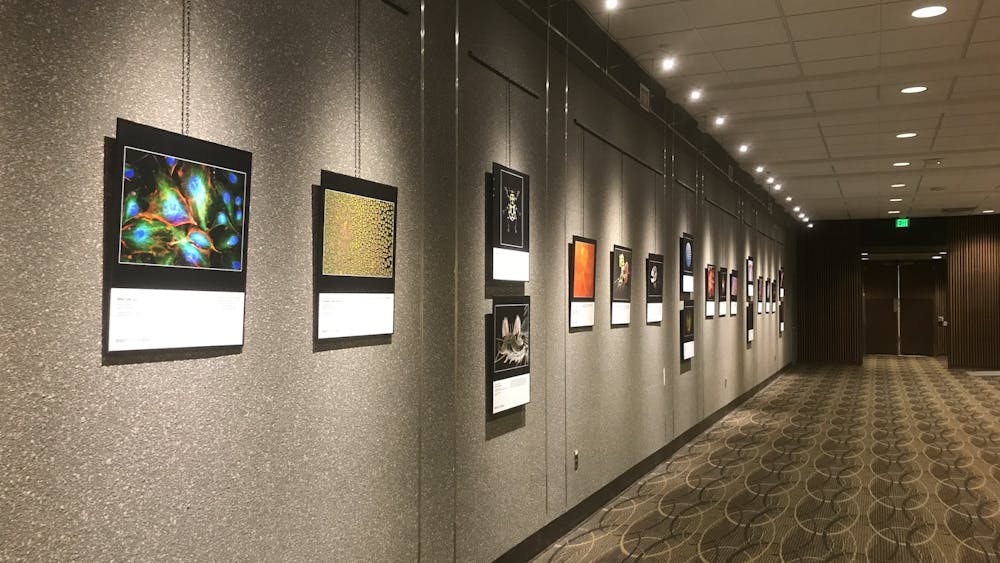 COURTESY OF AMRITA BALRAM
Images from Science 3 is on view at the Hopkins medical campus from now until March 20.