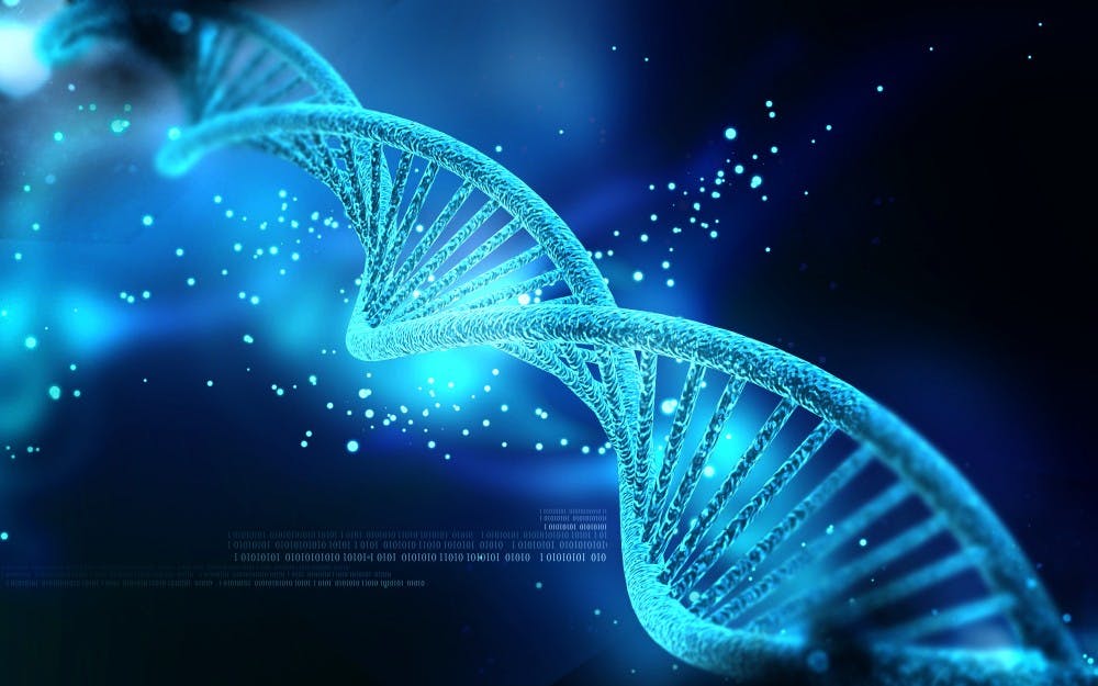 Nogas1974/CC-By-SA-4.0
DNA could be used to store data.